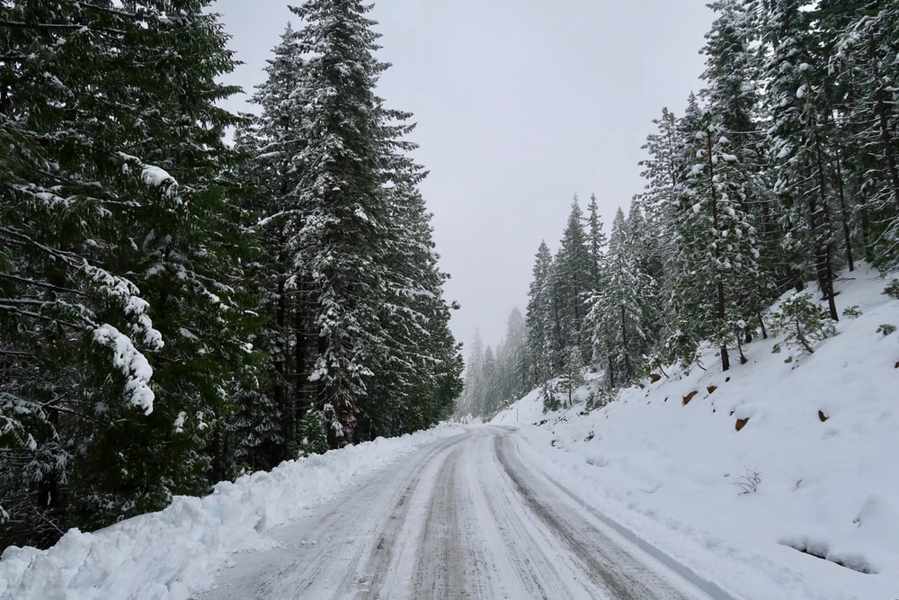 snowy_road